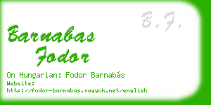 barnabas fodor business card